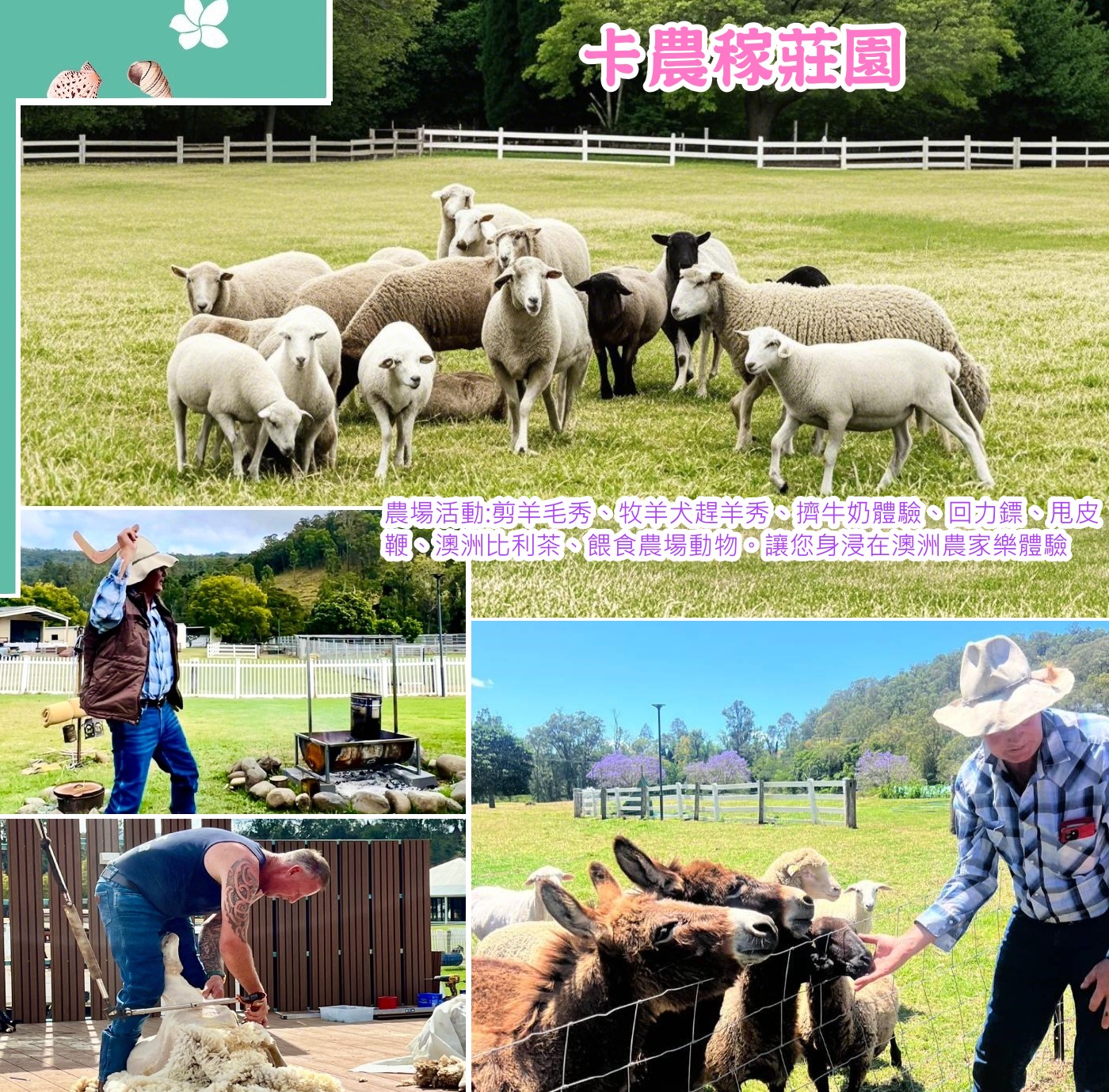 卡農稼莊園(Canungra Estate)