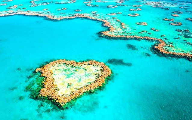 澳洲凱恩斯大堡礁