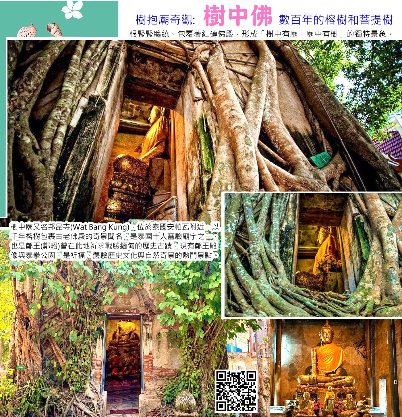 樹中佛:樹抱廟奇觀：數百年的榕樹和菩提樹根緊緊纏繞、包覆著紅磚佛殿（Luang Pho Bot Noi），形成「樹中有廟，廟中有樹」的獨特景象。