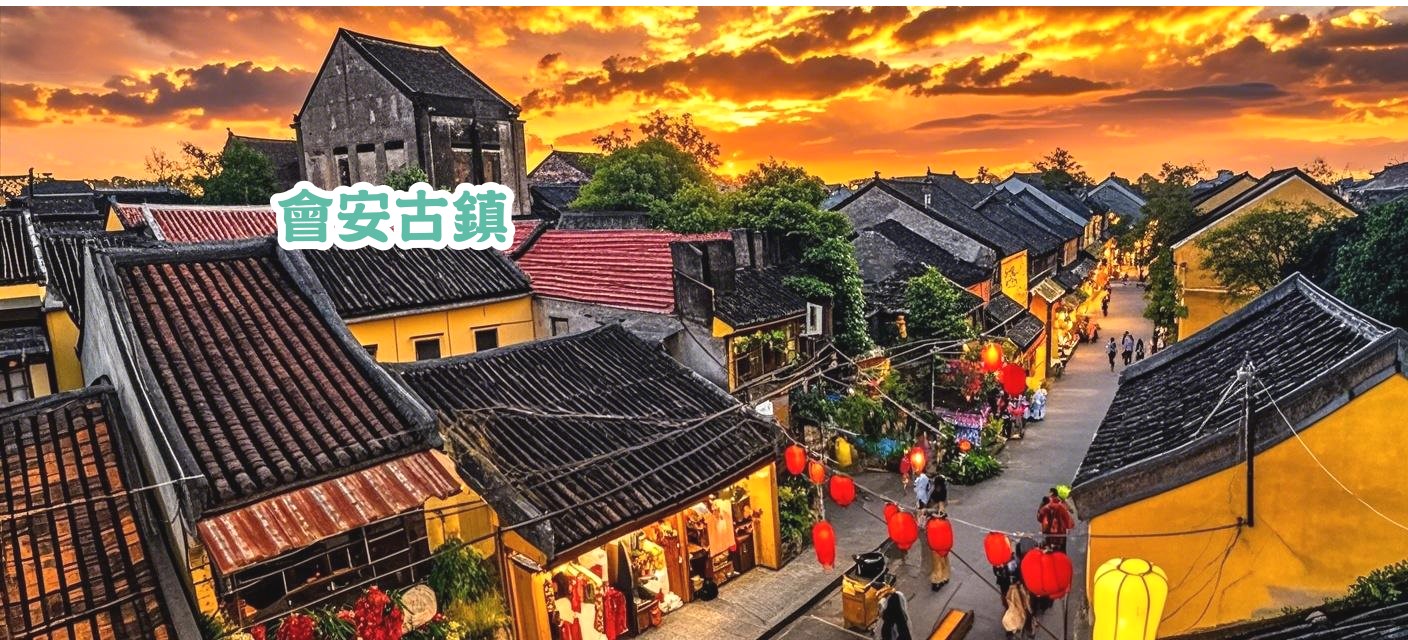 會安古鎮 蓮花茶