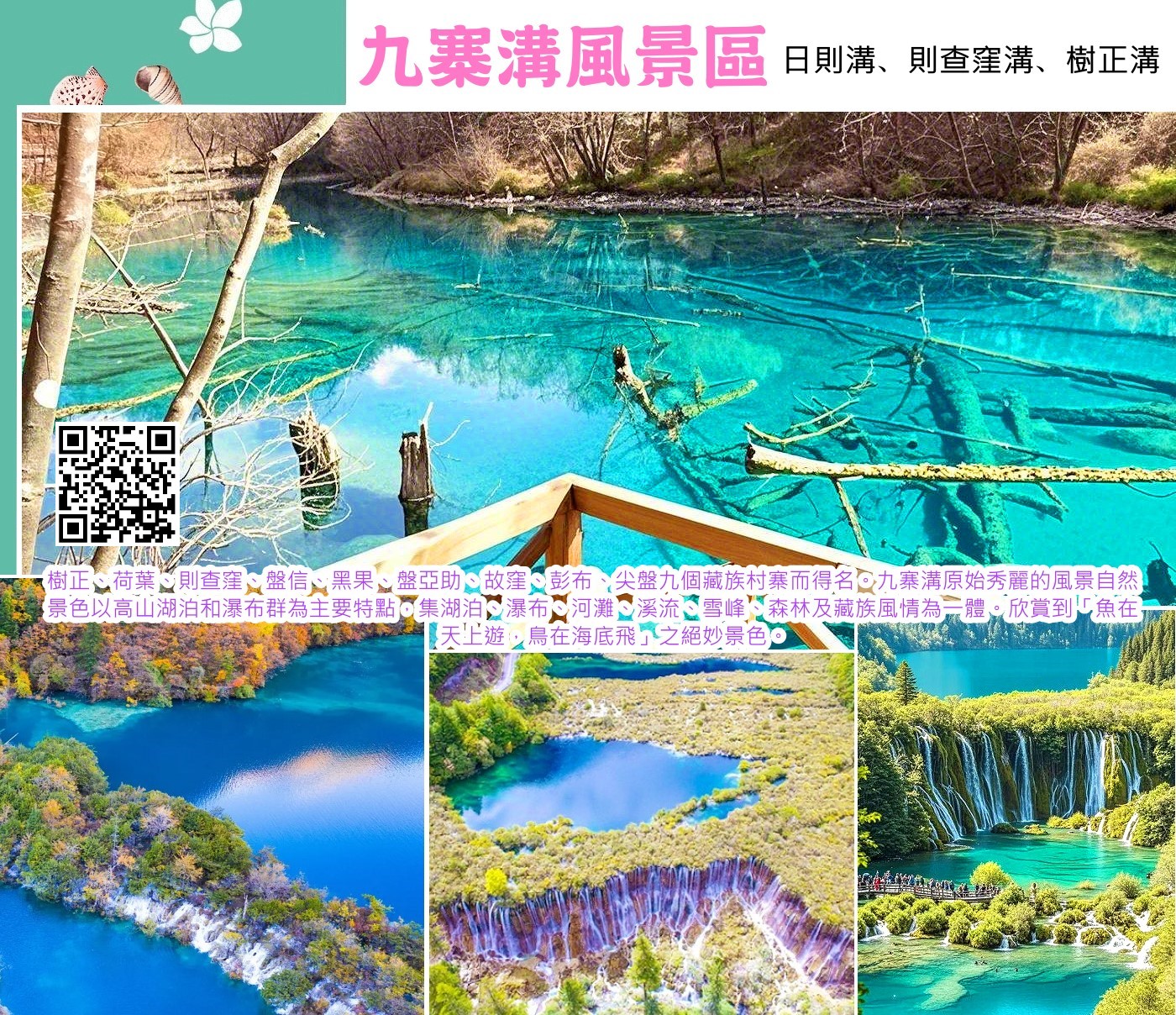 九寨溝:日則溝、樹正溝景區:盆景灘:蘆葦海:樹正瀑布:諾日郎瀑布:老虎海:則查窪溝景區:五彩池:長海