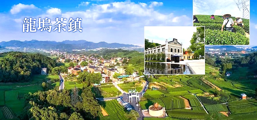 西湖遊船+龍塢茶鎮 小背簍採茶體驗