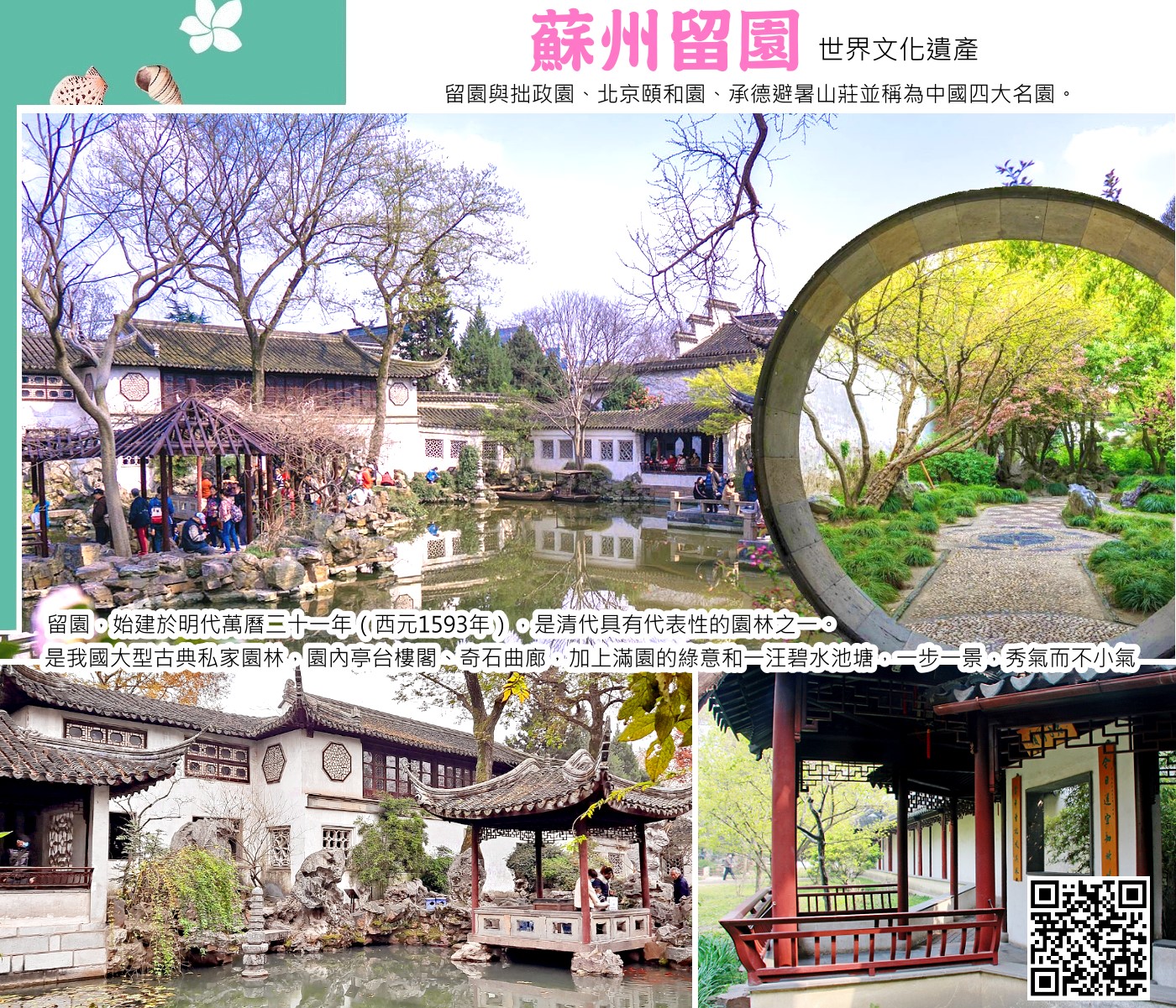 西湖遊船+龍塢茶鎮 小背簍採茶體驗