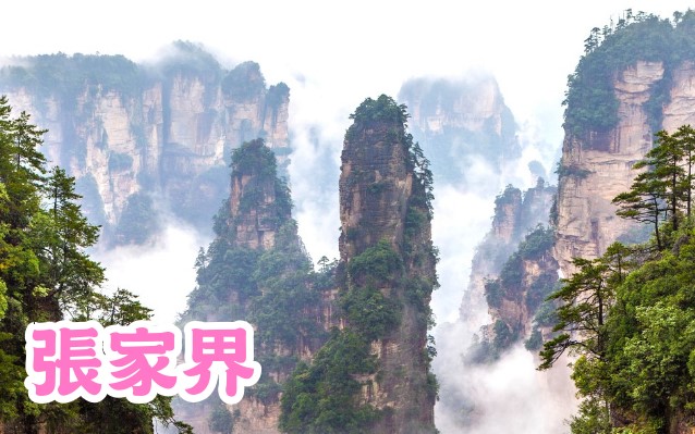 張家界八日無購物
