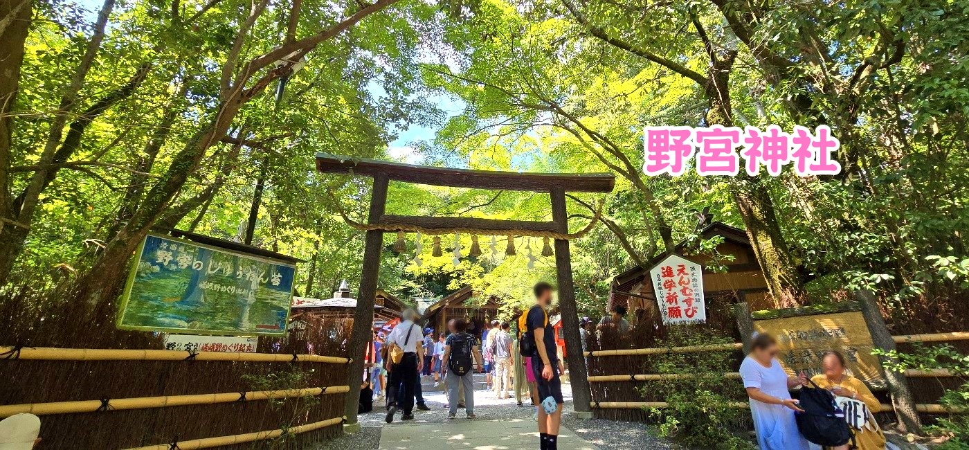 嵐山夢幻的竹林小徑，亦或是渡月橋邊倒映著楓葉的壯麗景觀？做為日本最受歡迎的景點之一，嵐山一日遊是許多人來到京都的第一站。不過，嵐山一日遊應該怎麼安排？嵐山小火車怎麼搭乘？有哪些嵐山美食推薦？嵐山最佳賞楓期間為何？如果時間有限，是否可以安排嵐山半日遊？如果你正在安排你的嵐山行程，以下是你不能錯過的完整嵐山旅遊資訊。