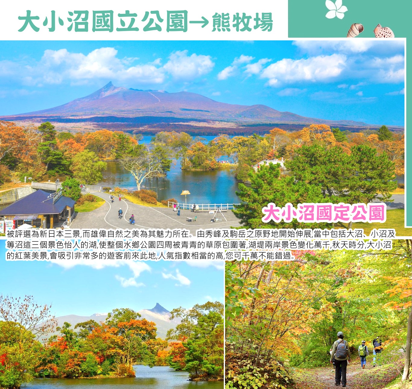 函館朝市