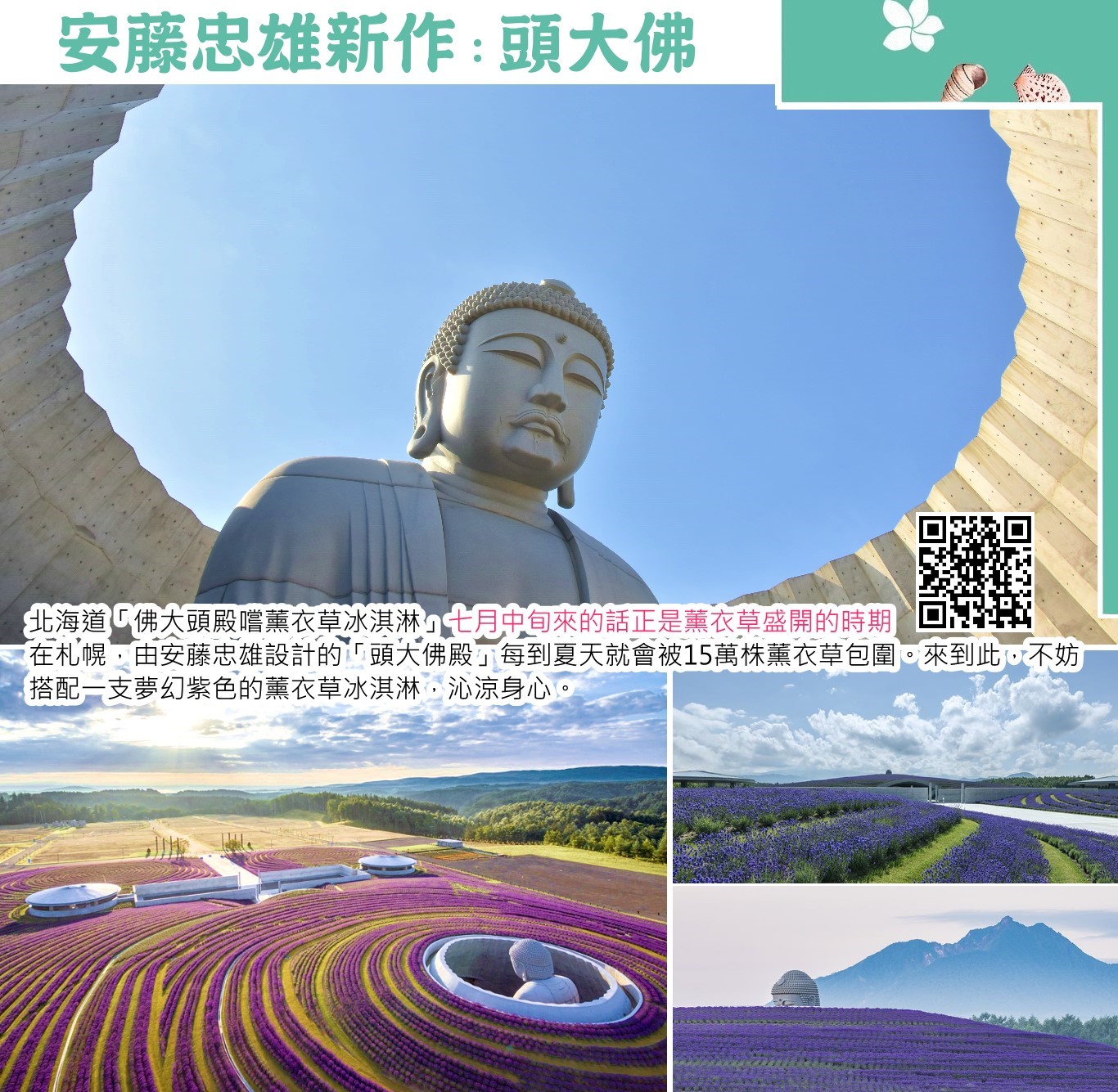 北海道真駒內瀧野靈園・頭大佛・薰衣草園