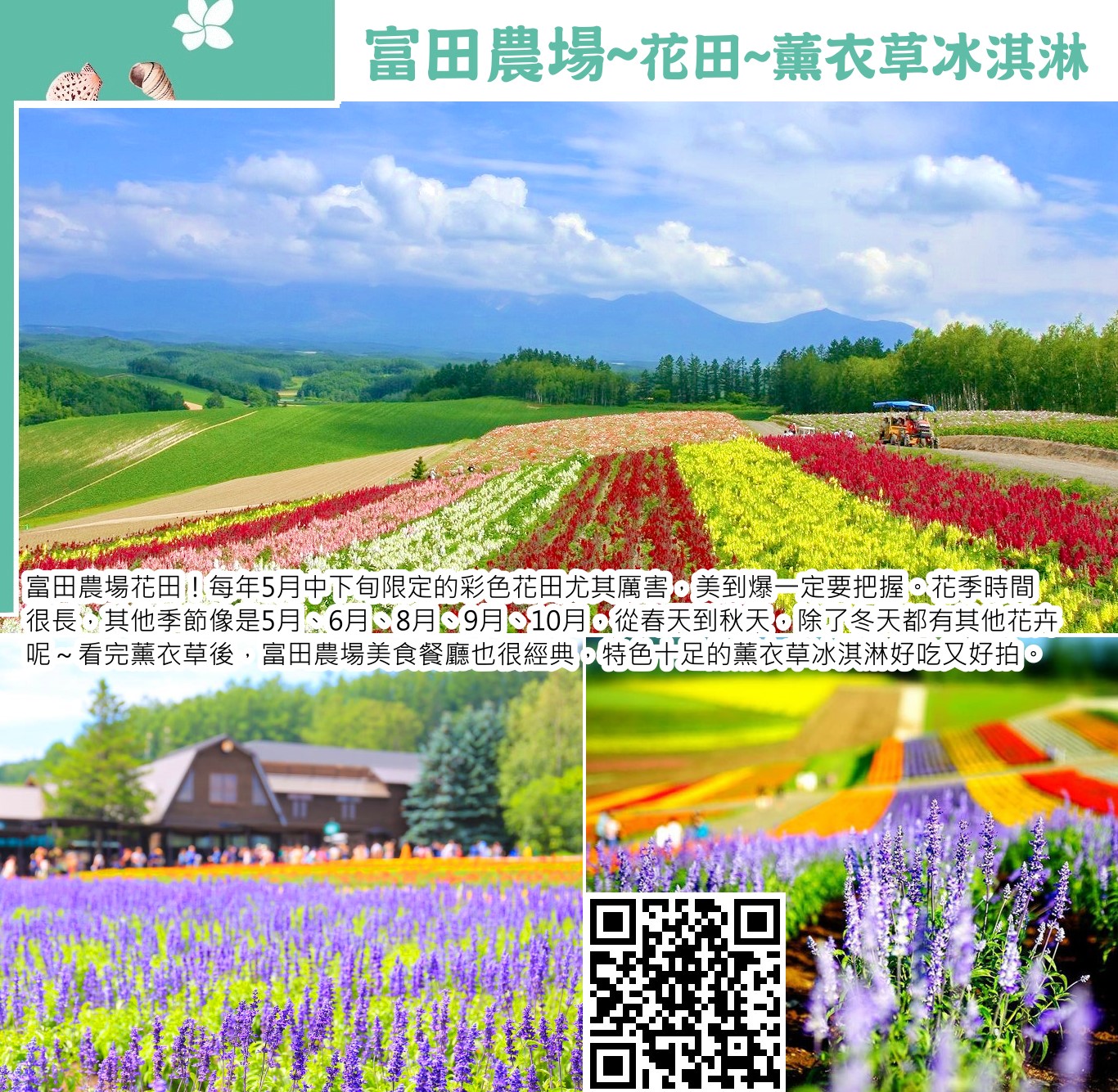 北海道佛大頭