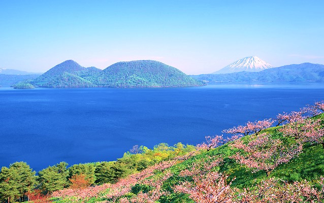 北海道三大名蟹