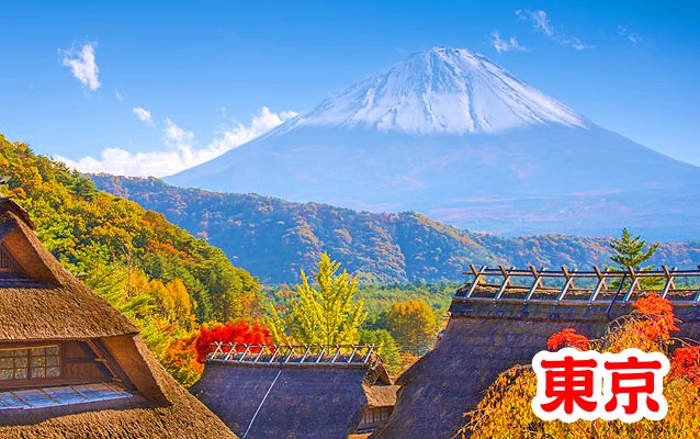 東京富士山五日遊