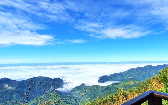 嘉義茶園 群峰 雲海