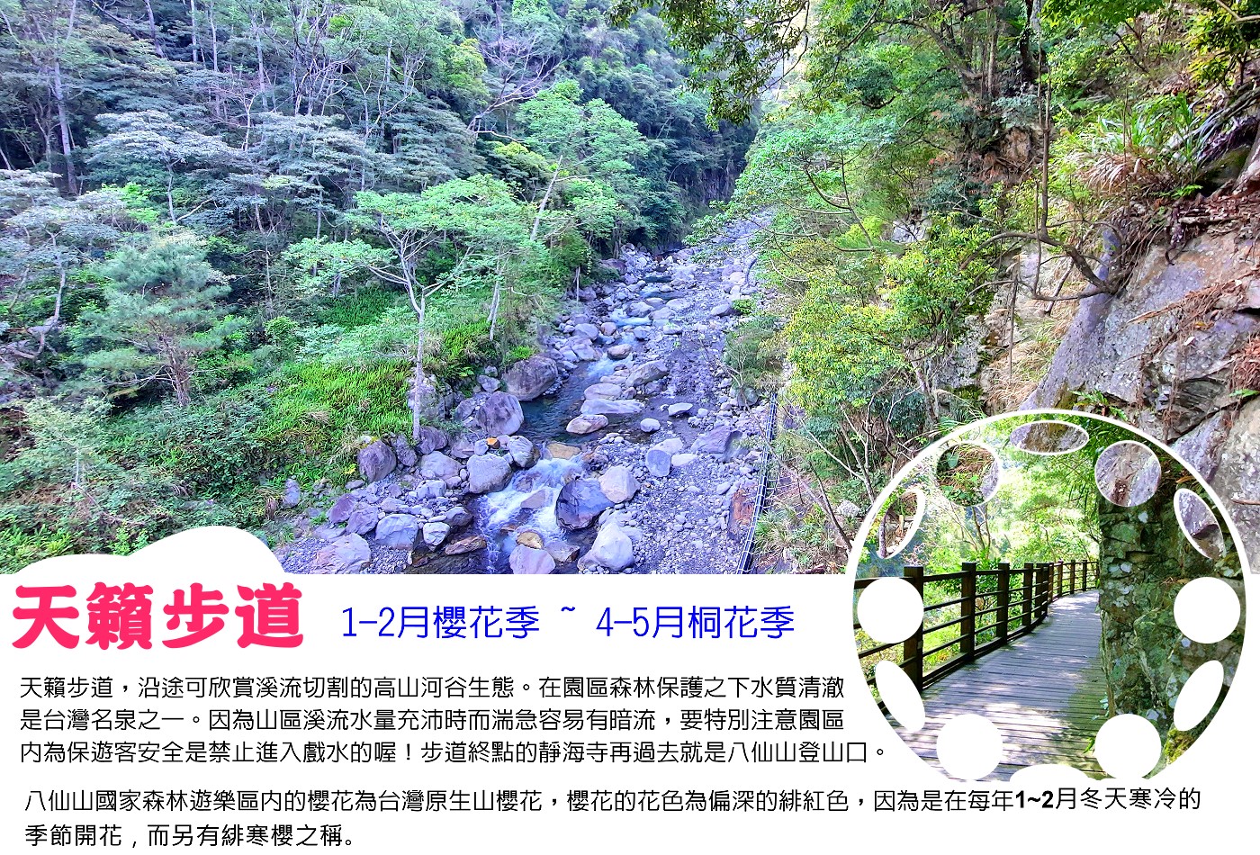 八仙山國家森林遊樂區