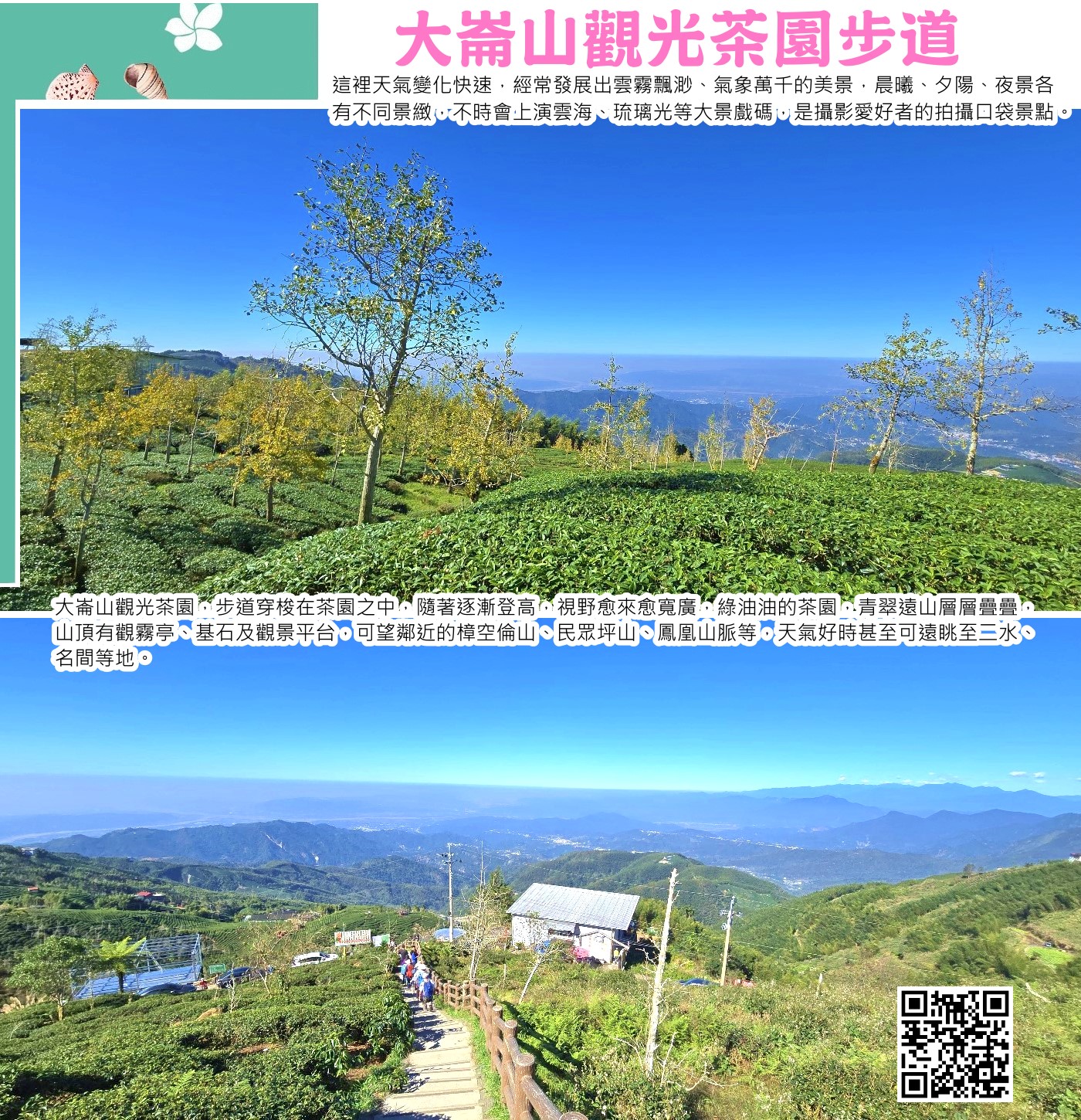 大崙山茶園位於南投鹿谷，海拔約1250至1500公尺，以栽種高山烏龍茶聞名，並因水土保持需求與銀杏樹混合栽種，形成茶園與銀杏林交織的特殊景觀。此處終年雲霧繚繞，氣候涼爽，是受歡迎的避暑與賞景勝地，可遠眺中部五縣市景色，並有觀霧亭、觀景平台等步道設施供遊客欣賞雲海、日落與壯闊景色。