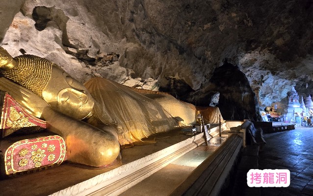泰國長頸鹿體驗主要集中在北碧府（Kanchanaburi）野生動物園與大城（Ayutthaya）動物園，以吉普車近距離拍照和親手餵食聞名。遊客可搭乘專車，讓長頸鹿將頭伸入車內互動，甚至在吉普車頂同框拍照，是近年泰國最熱門的網美打卡活動。 熱門互動景點推薦 北碧府野生動物園 (Safari Park Kanchanaburi)：最受歡迎，遊園巴士和私人吉普車都能近距離餵食，長頸鹿會主動圍繞，拍照效果極佳。